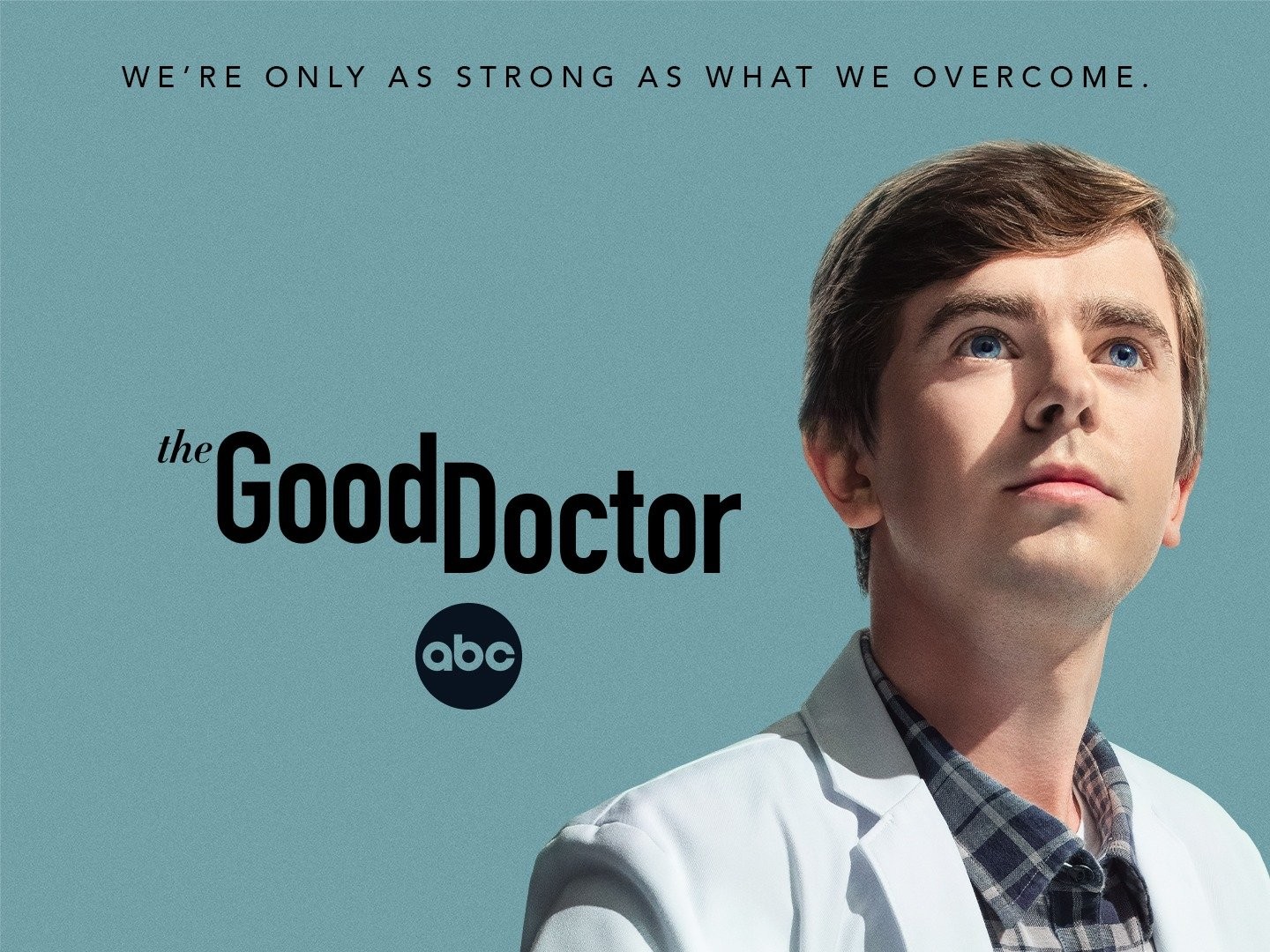 Pin by Tamara Ailén on ㅤ／﹕the good doctor., | Good doctor, The good doctor  abc, Freddie highmore